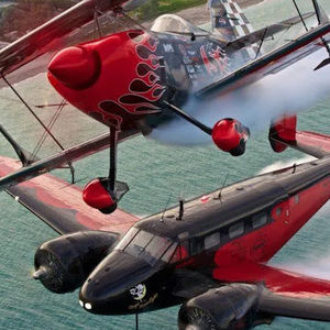 Meet your Posher, Wyatt